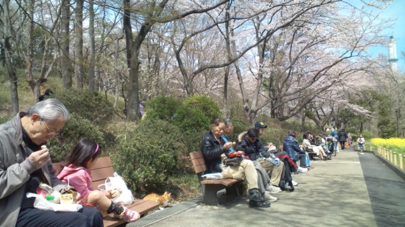 保土ヶ谷児童公園