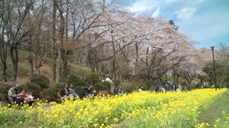 保土ヶ谷児童公園